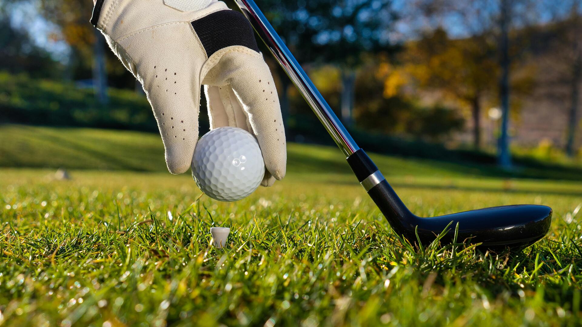 A picture of a person placing a golf ball on the grass.